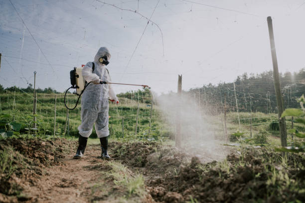 Best Best Pest Control Companies  in Georgetown, CO