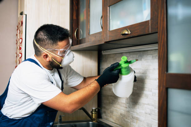 Best Cockroach Control Services  in Georgetown, CO