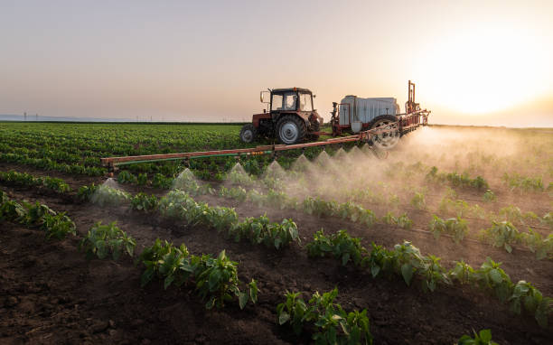 Best Mosquito Control Services  in Georgetown, CO