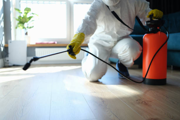 Best Pest Prevention Services  in Georgetown, CO