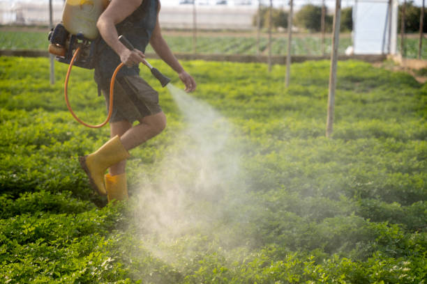 Best Pest Control Near Me  in Georgetown, CO