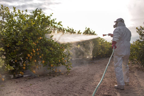 Best Pest Prevention Services  in Georgetown, CO