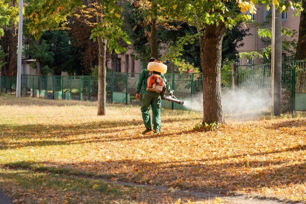 Reliable Georgetown, CO Pest Control Solutions