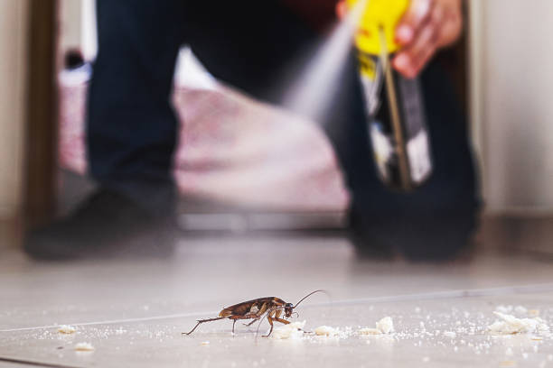 Best Pest Prevention Services  in Georgetown, CO