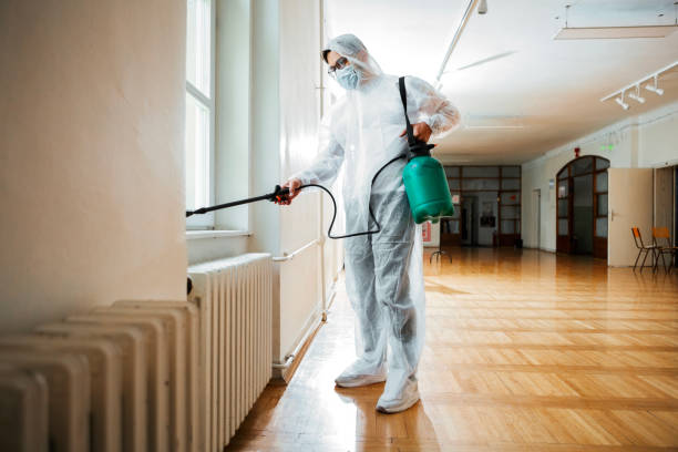 Best Local Pest Control Services  in Georgetown, CO