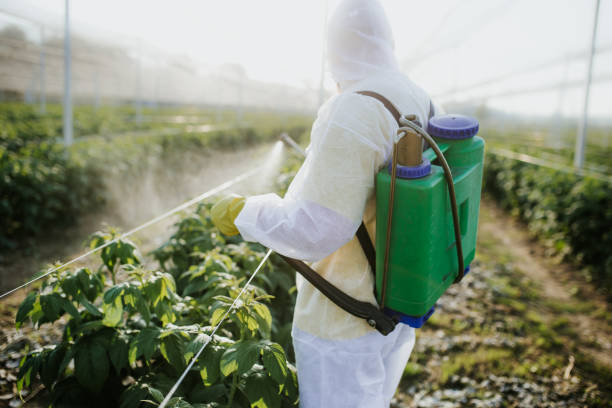 Best Affordable Pest Control Services  in Georgetown, CO